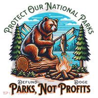 Protect Our National Parks Defund Doge Parks Not Profits Ceramic Ornament thumb 2