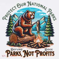 Protect Our National Parks Defund Doge Parks Not Profits Sweatshirt thumb 3