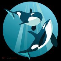 Pair Of Orcas Swimming Ornament thumb 1