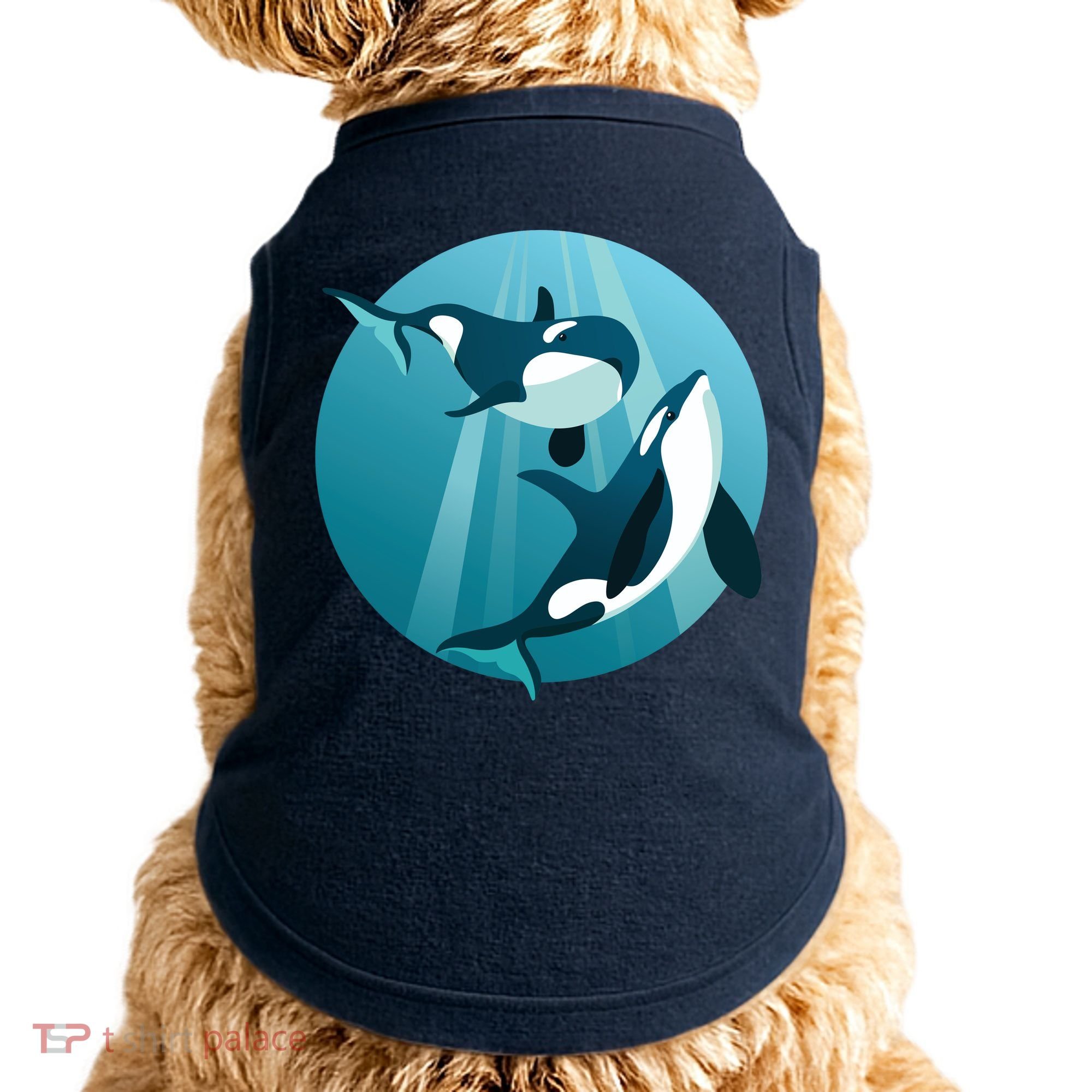 Pair Of Orcas Swimming Doggie Tank