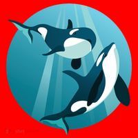 Pair Of Orcas Swimming Santa Hat thumb 1