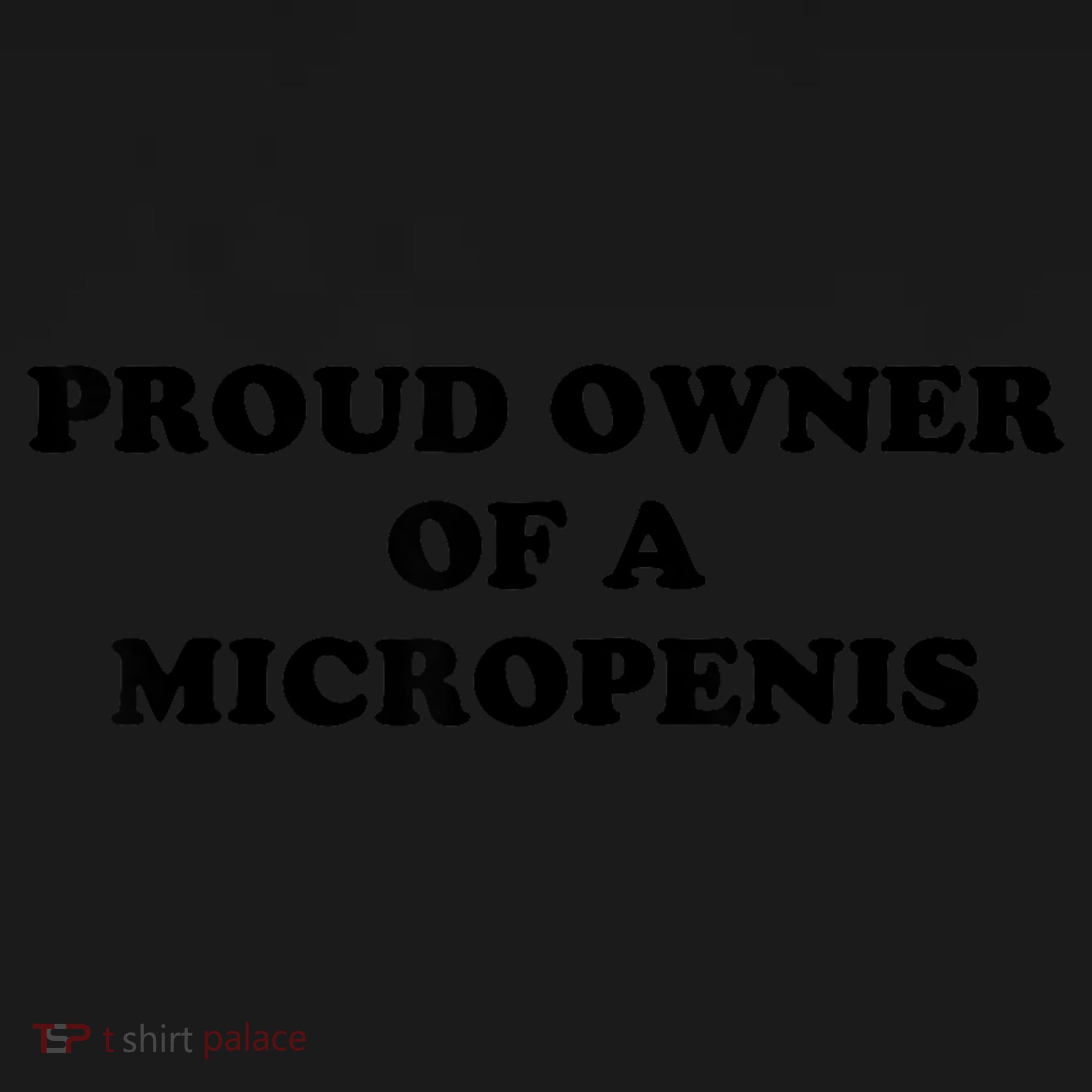 Proud Owner Of A Micropenis Funny Meme Visor