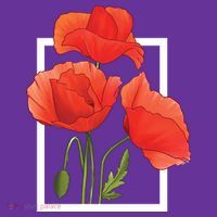 Poppy Flowers Coaster thumb 2