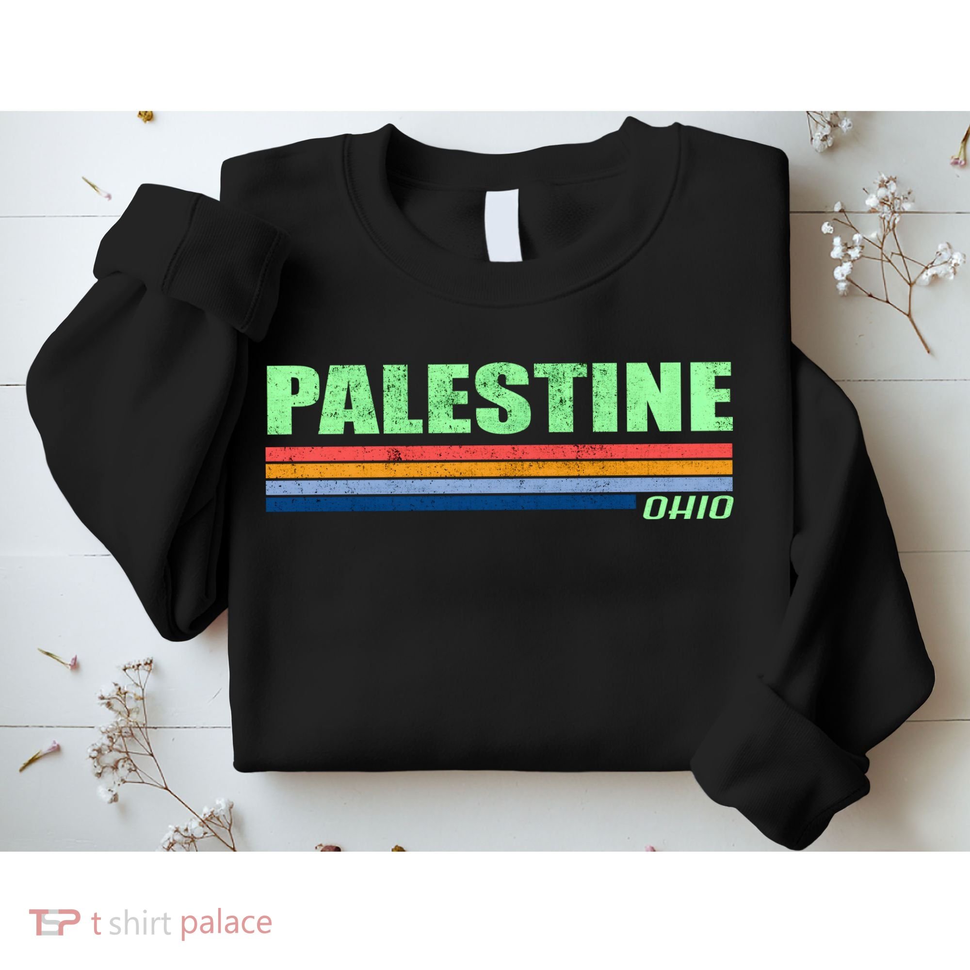 Palestine Ohio Retro Sweatshirt
