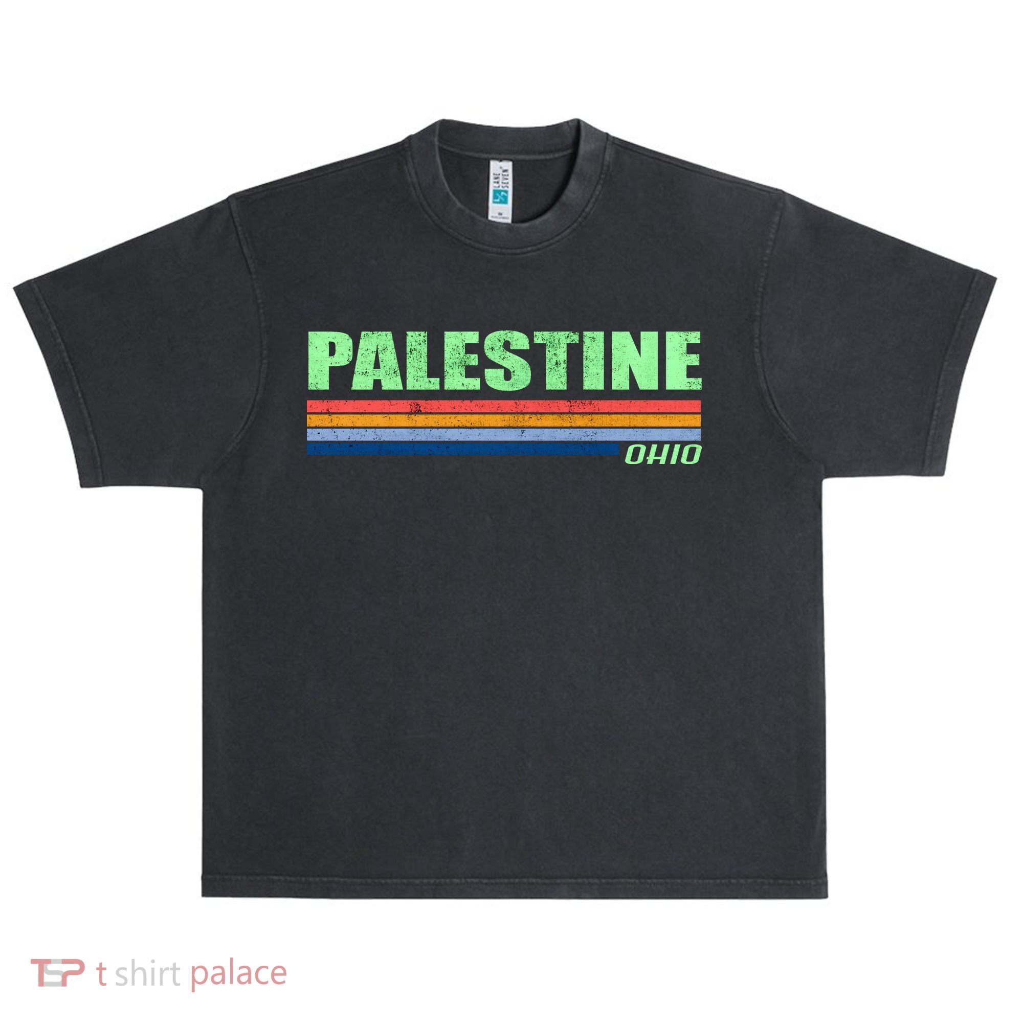 Palestine Ohio Retro Urban Oversized Heavyweight T-Shirt