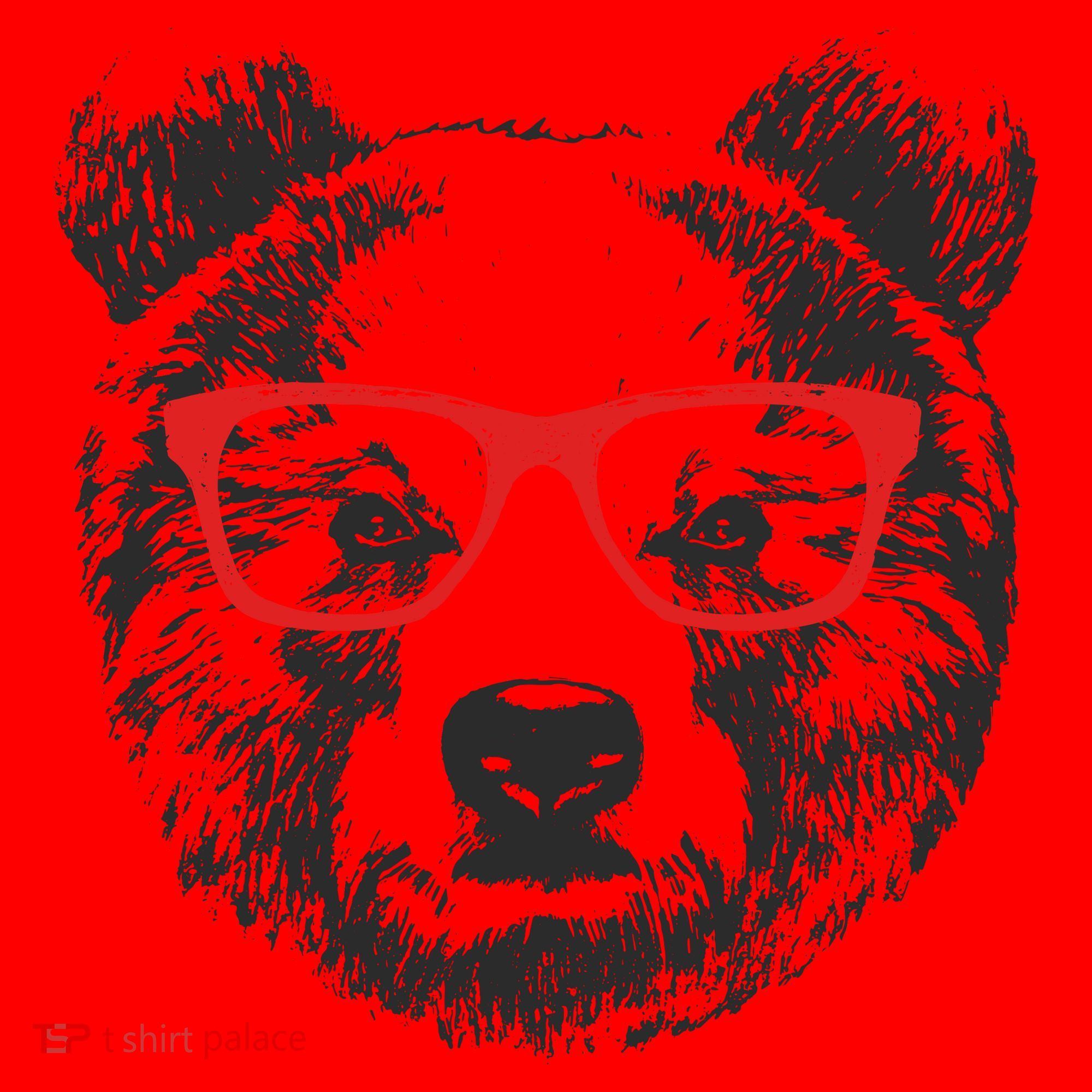 Portrait of Bear with glasses Santa Hat