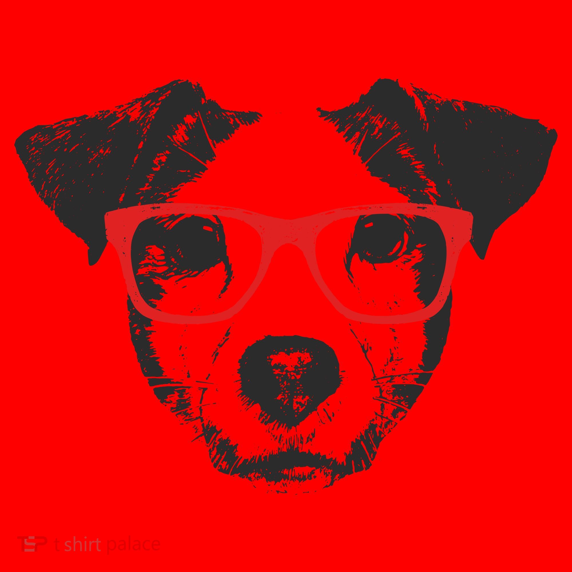 Portrait of Jack Russell with glasses Santa Hat