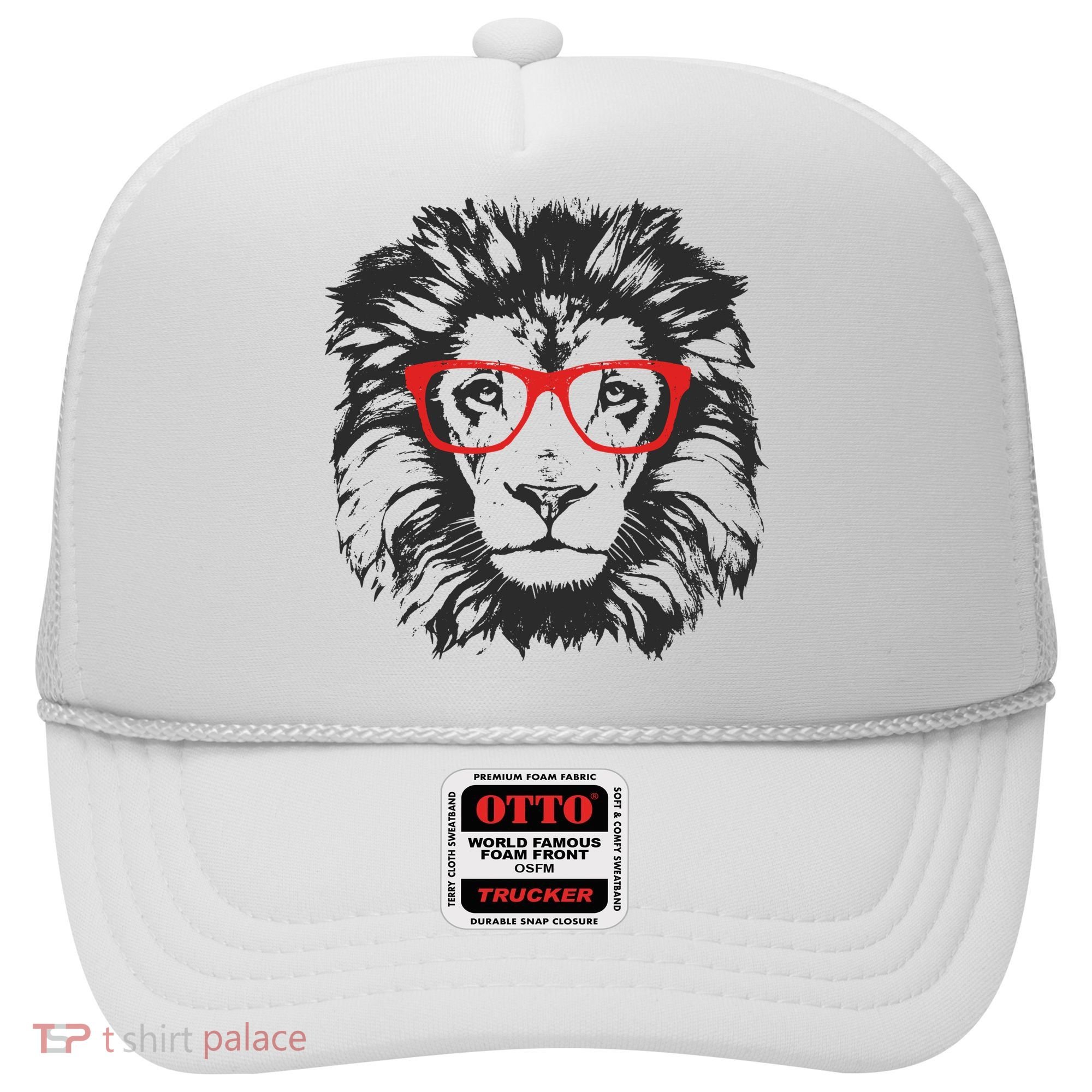 Portrait of Lion with glasses Hat