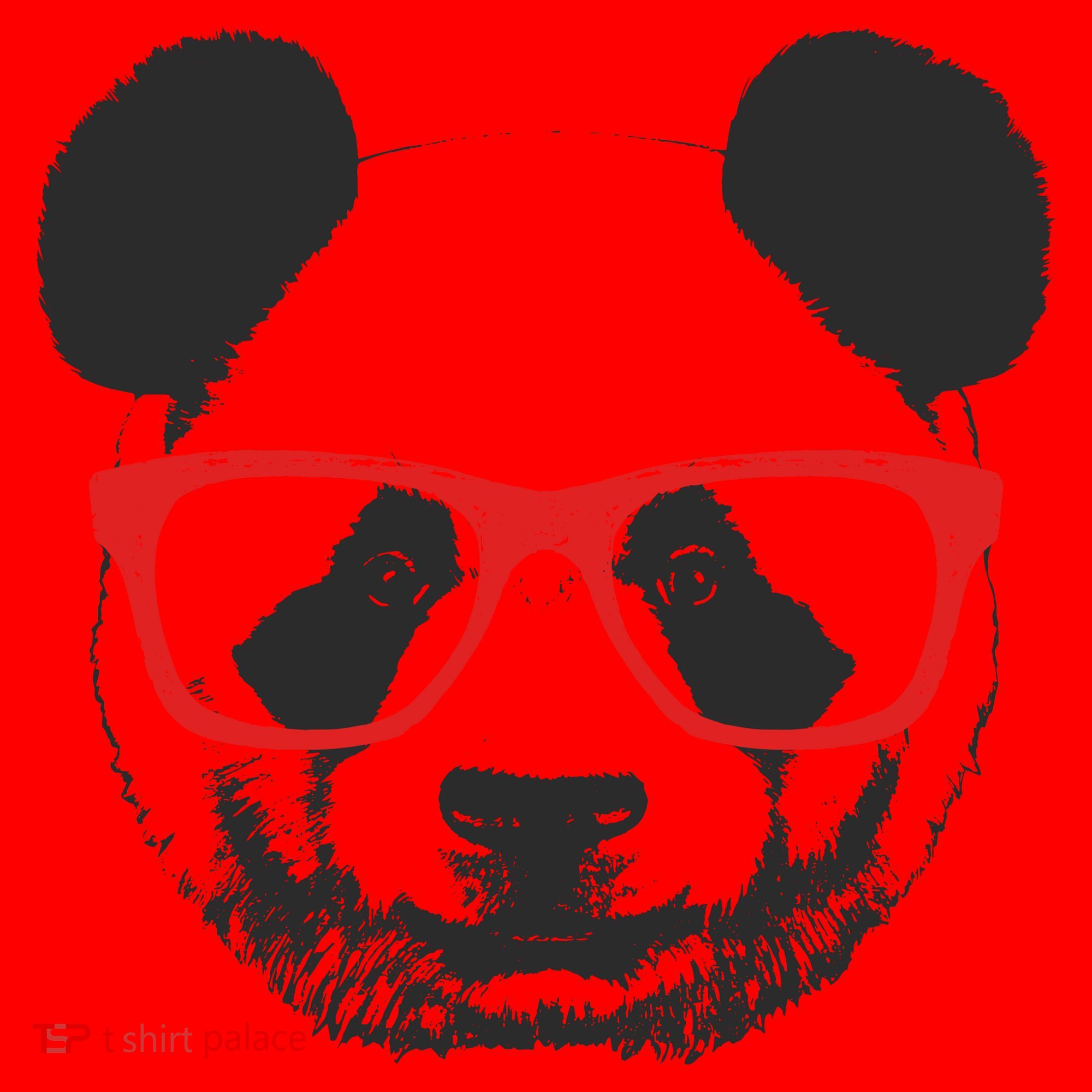 Portrait of Panda with glasses Santa Hat