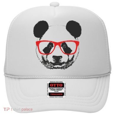 Portrait of Panda with glasses Hat