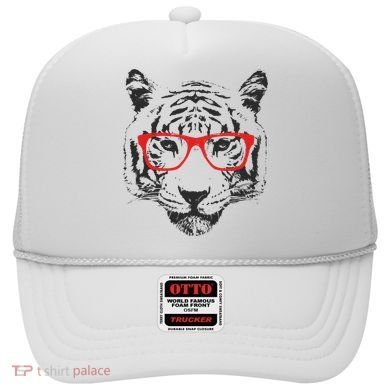 Portrait of Tiger With Glasses Hat