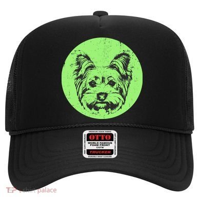 Portrait of Yorkshire Terrier Dog Hat