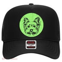 Portrait of Yorkshire Terrier Dog Hat thumb 0
