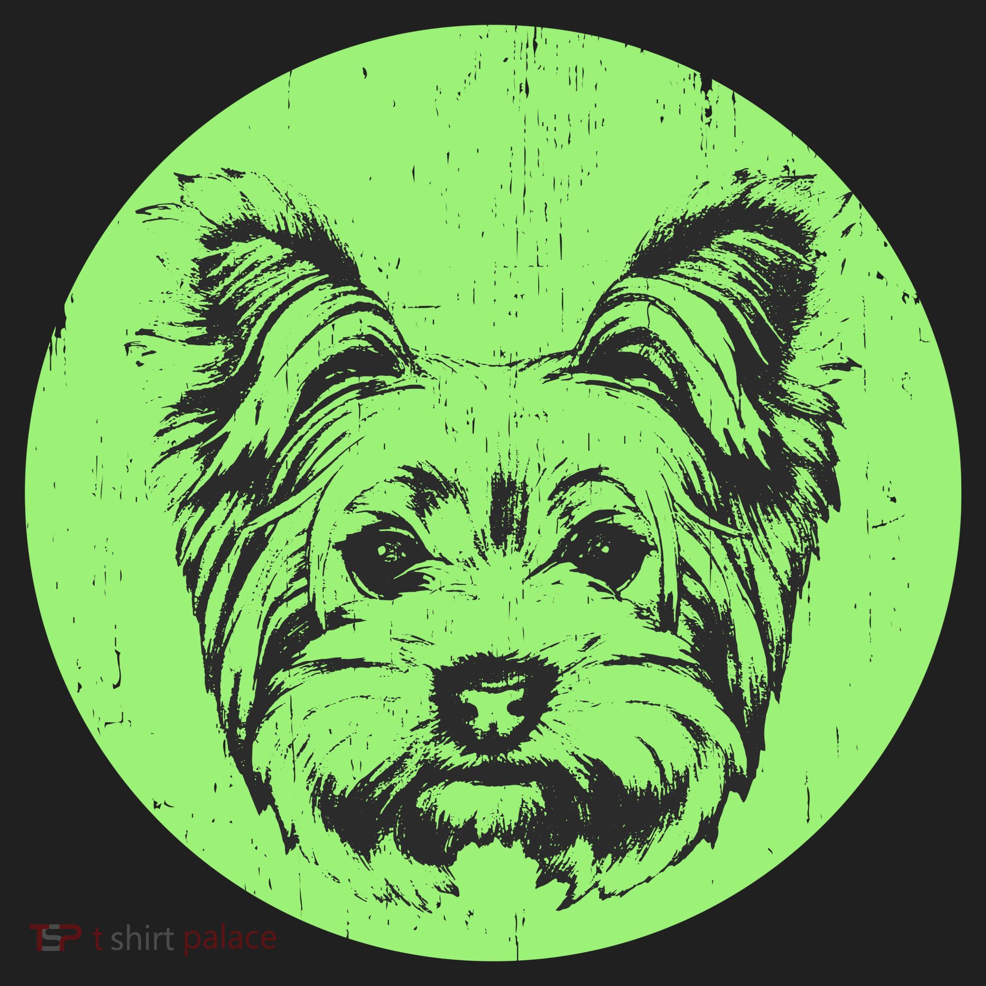 Portrait of Yorkshire Terrier Dog Hat
