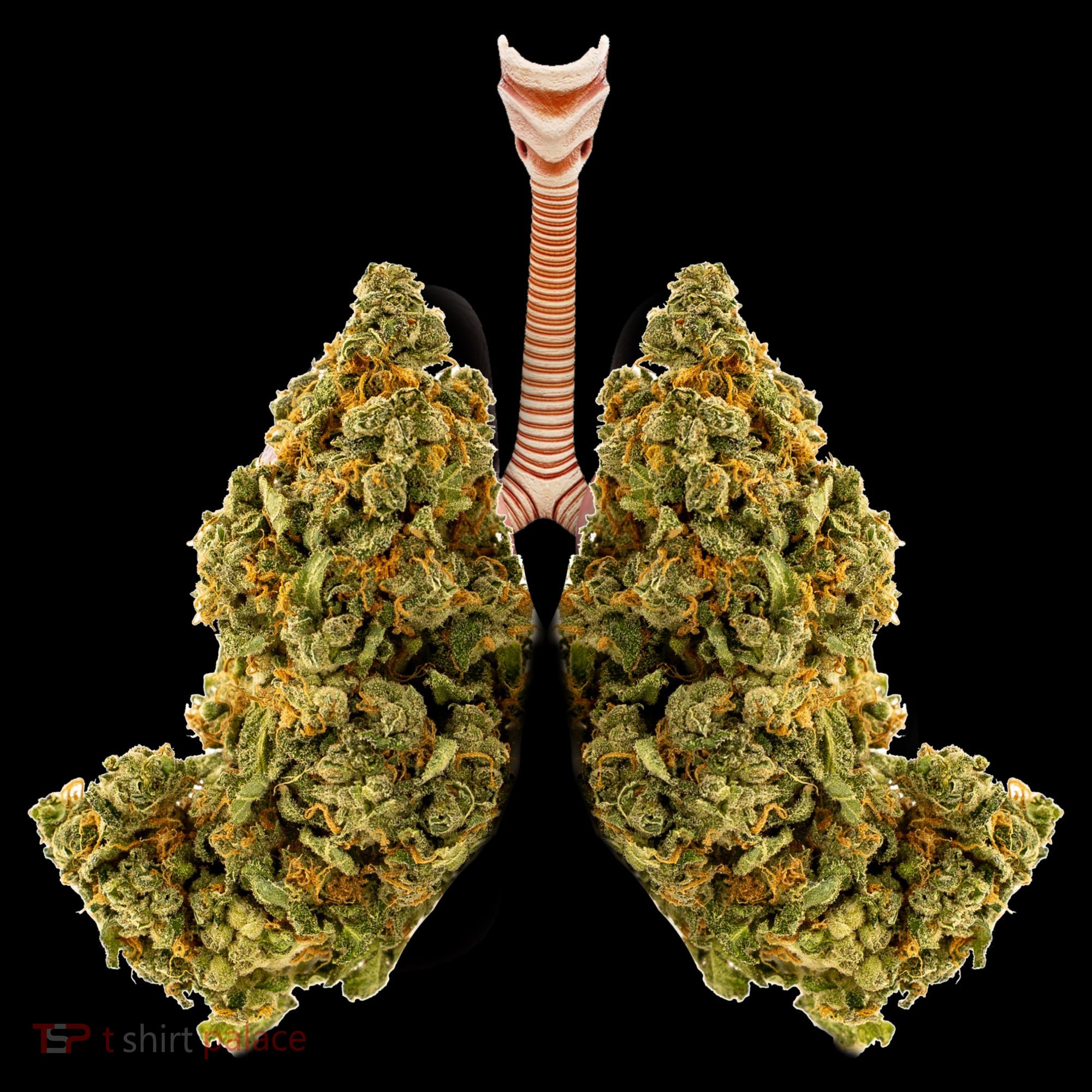 Pot Lungs Apron