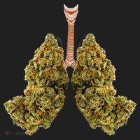 Pot Lungs Beanie thumb 2