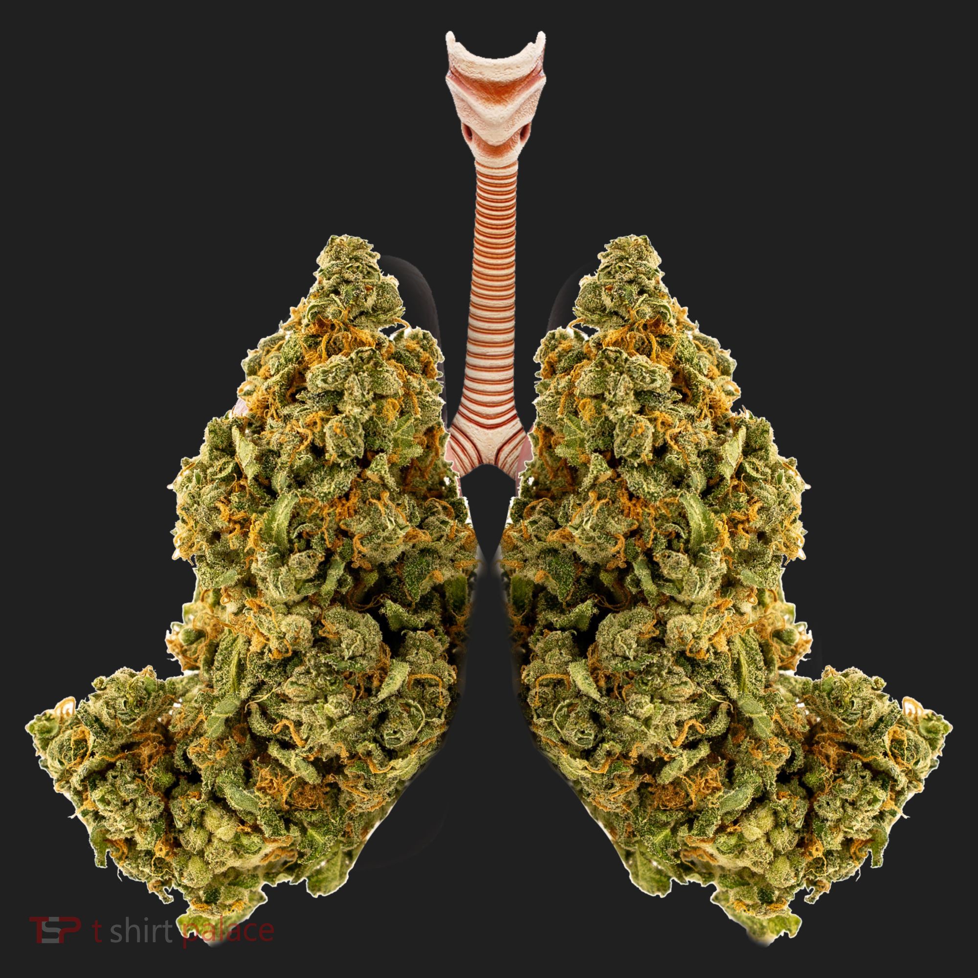Pot Lungs Beanie