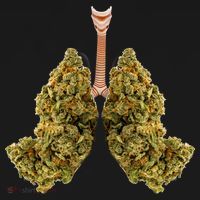 Pot Lungs Baby Bodysuit thumb 2