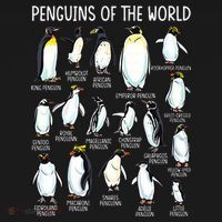 Penguins Of The World Zookeeper Sea Animal Penguin Lovers Button thumb 1