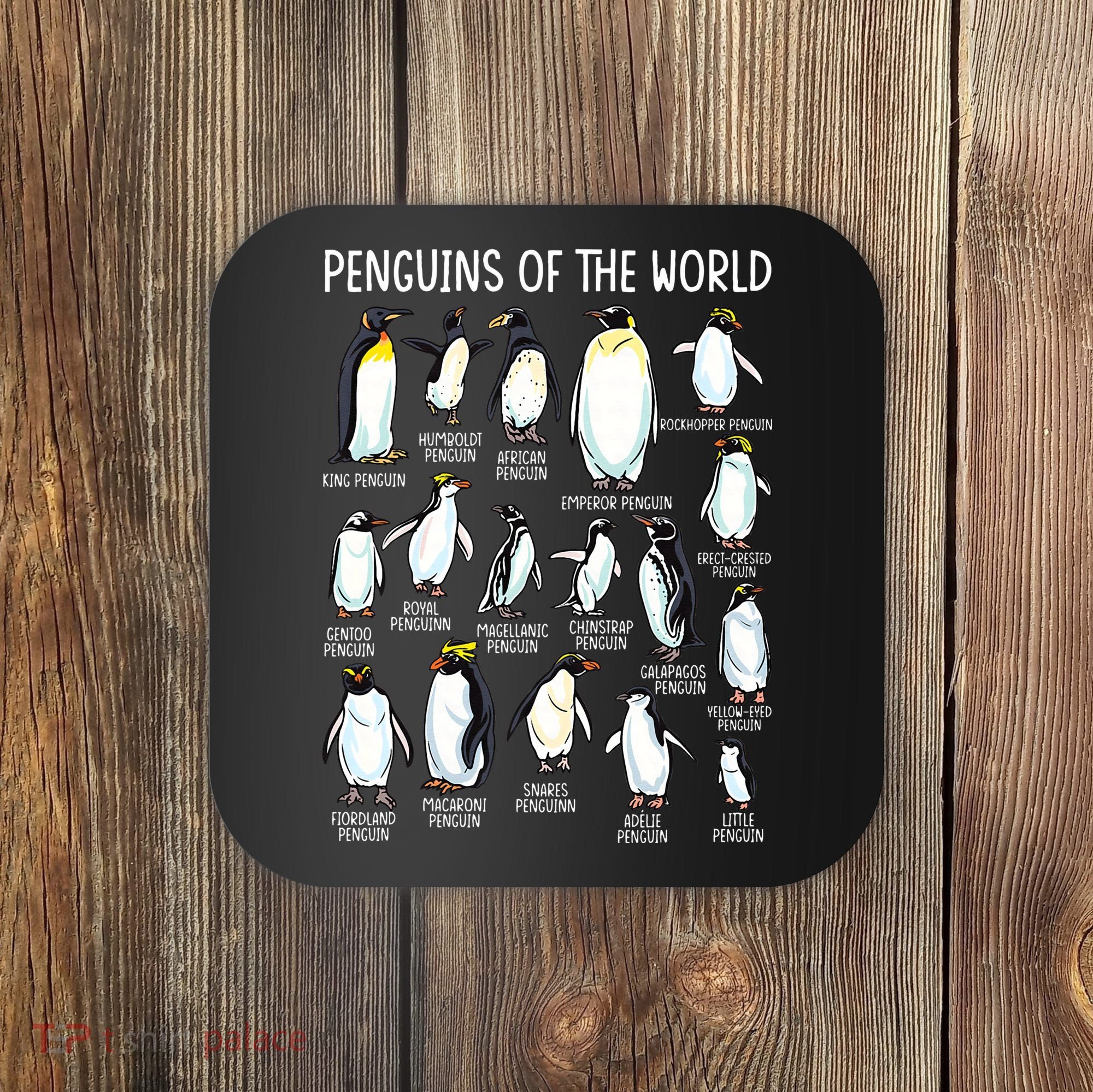 Penguins Of The World Zookeeper Sea Animal Penguin Lovers Coaster