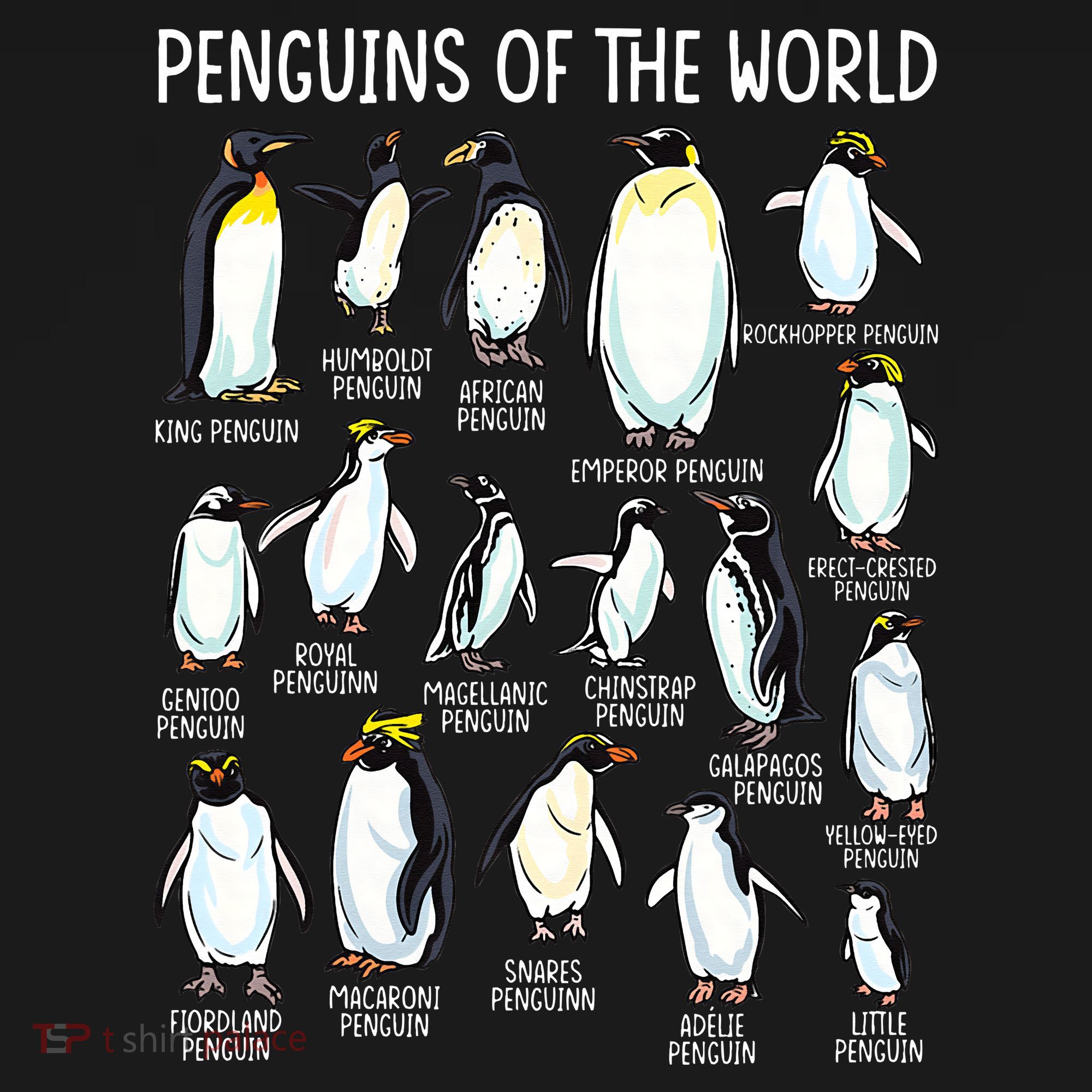 Penguins Of The World Zookeeper Sea Animal Penguin Lovers Mousepad