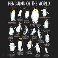 Penguins Of The World Zookeeper Sea Animal Penguin Lovers Hat thumb 2