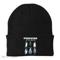 Penguins Of The World Beanie thumb 0