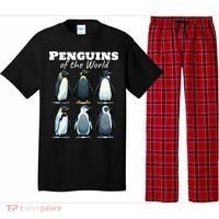 Penguins Of The World Pajama Set thumb 0