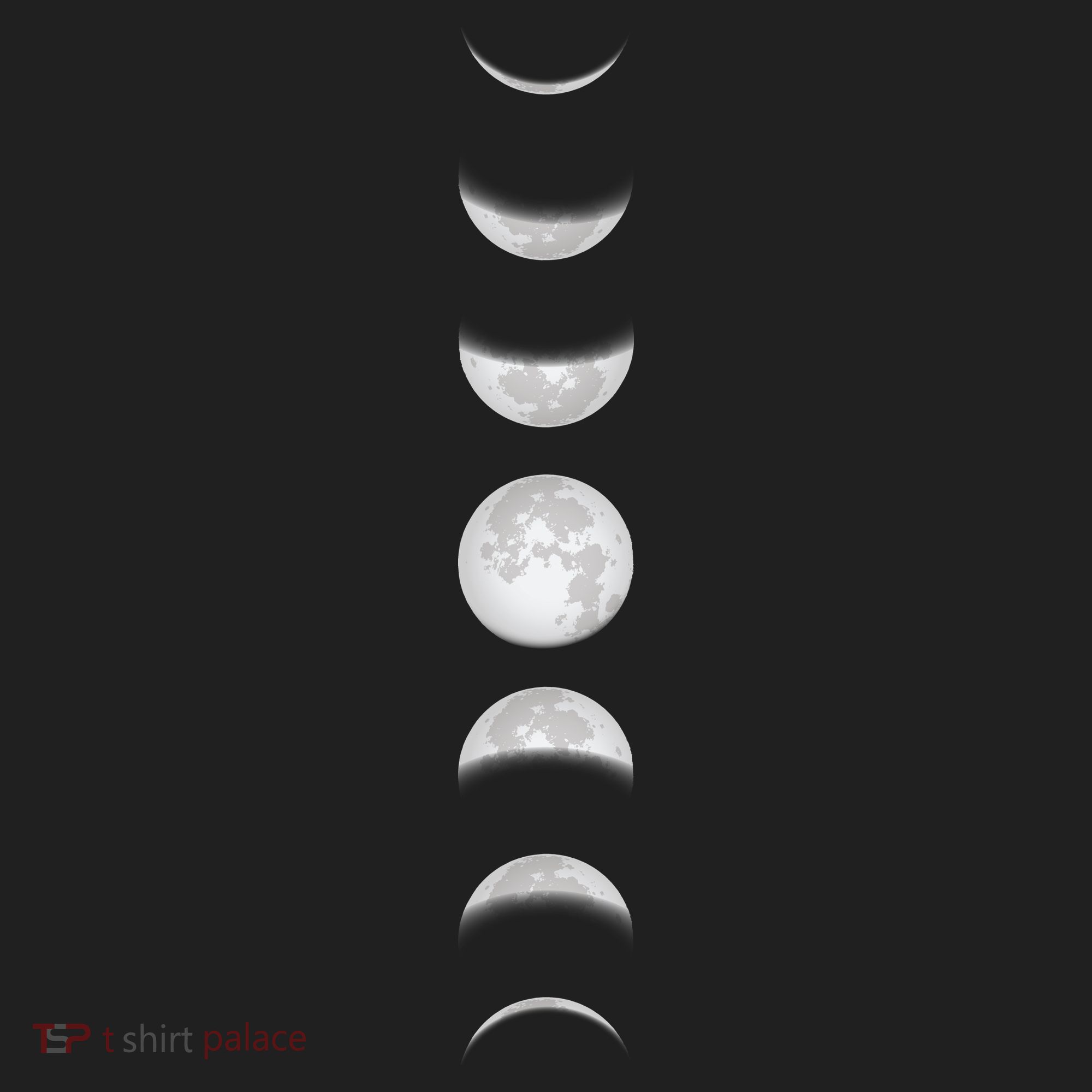 Phases Of The Moon Beanie