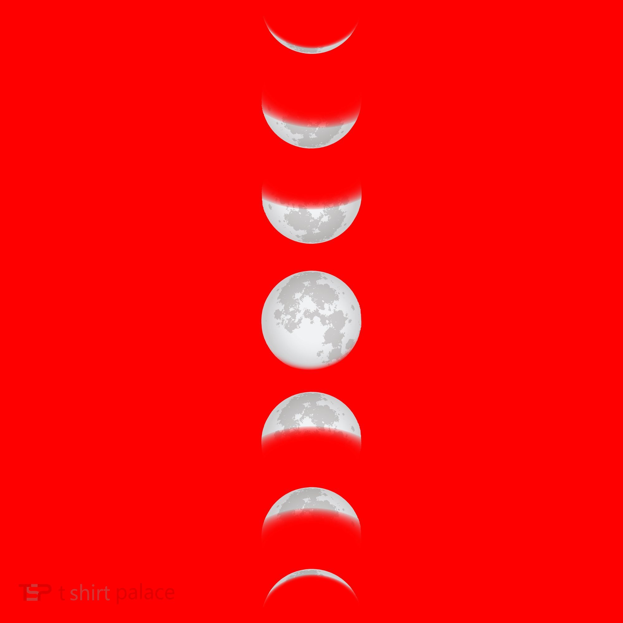 Phases Of The Moon Santa Hat