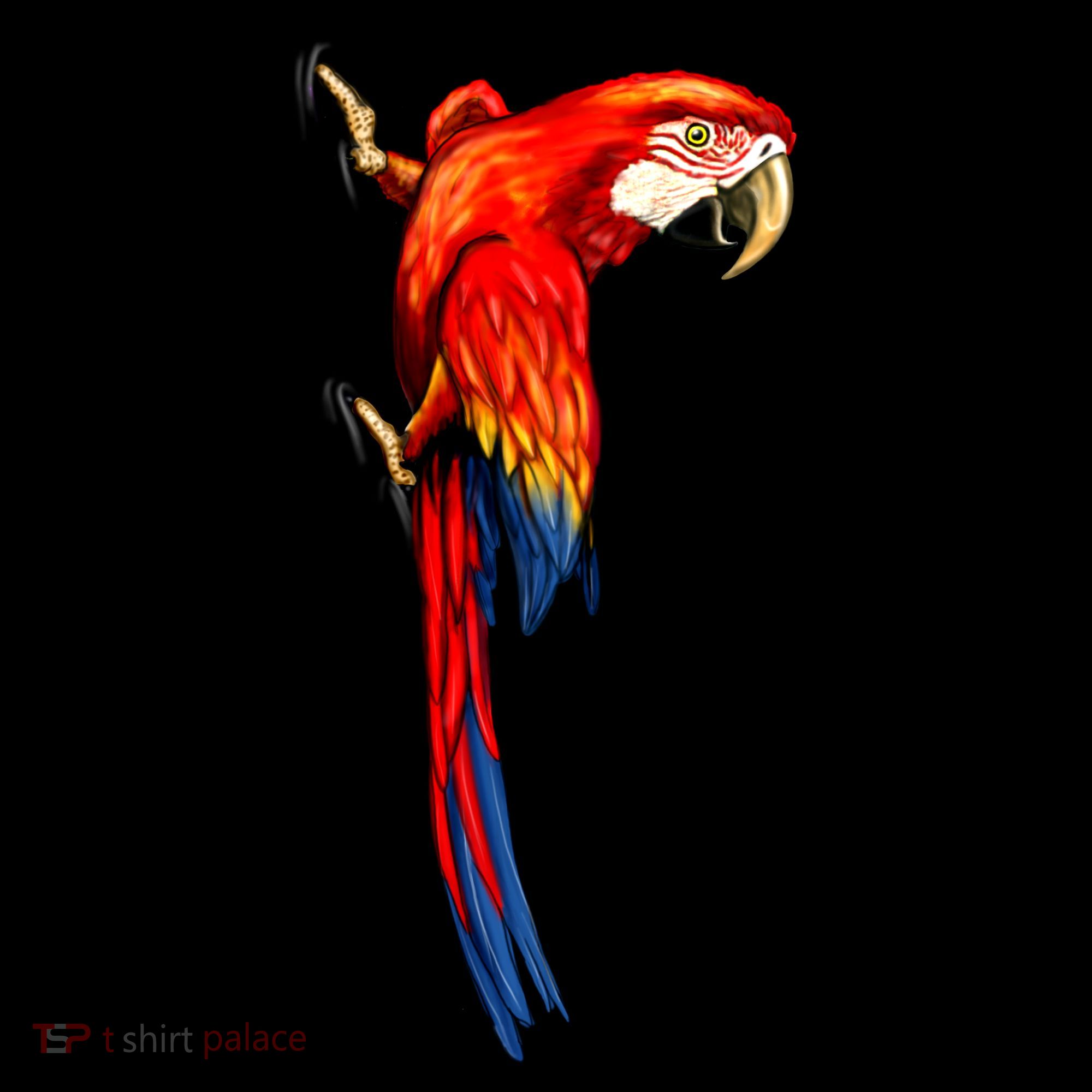 Parrot On Wall Pajama Set