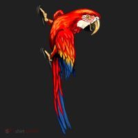 Parrot On Wall Tumbler thumb 3