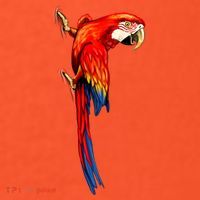 Parrot On Wall Baby Bodysuit thumb 2