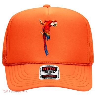 Parrot On Wall Hat