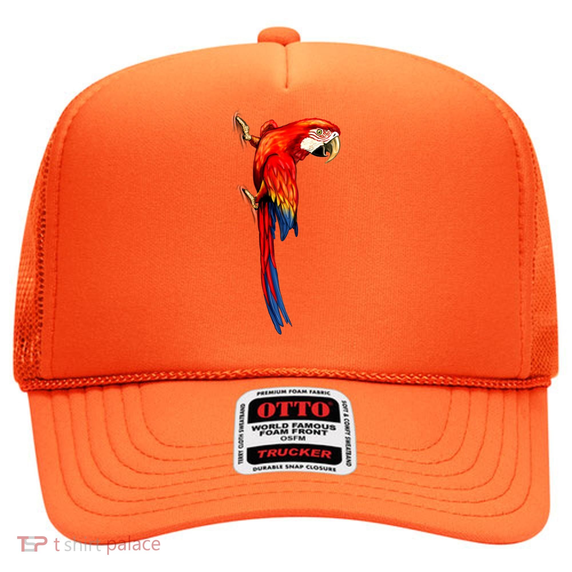 Parrot On Wall Hat