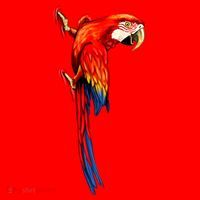 Parrot On Wall Santa Hat thumb 1