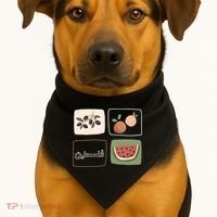 Palestine Olives Watermelon Orange Falasteen Palestinian USA-Made Doggie Bandana thumb 1
