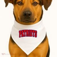 Patriots USA-Made Doggie Bandana thumb 1