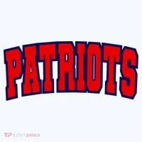 Patriots Hoodie thumb 2