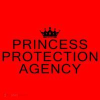 Princess Protection Agency Santa Hat thumb 1