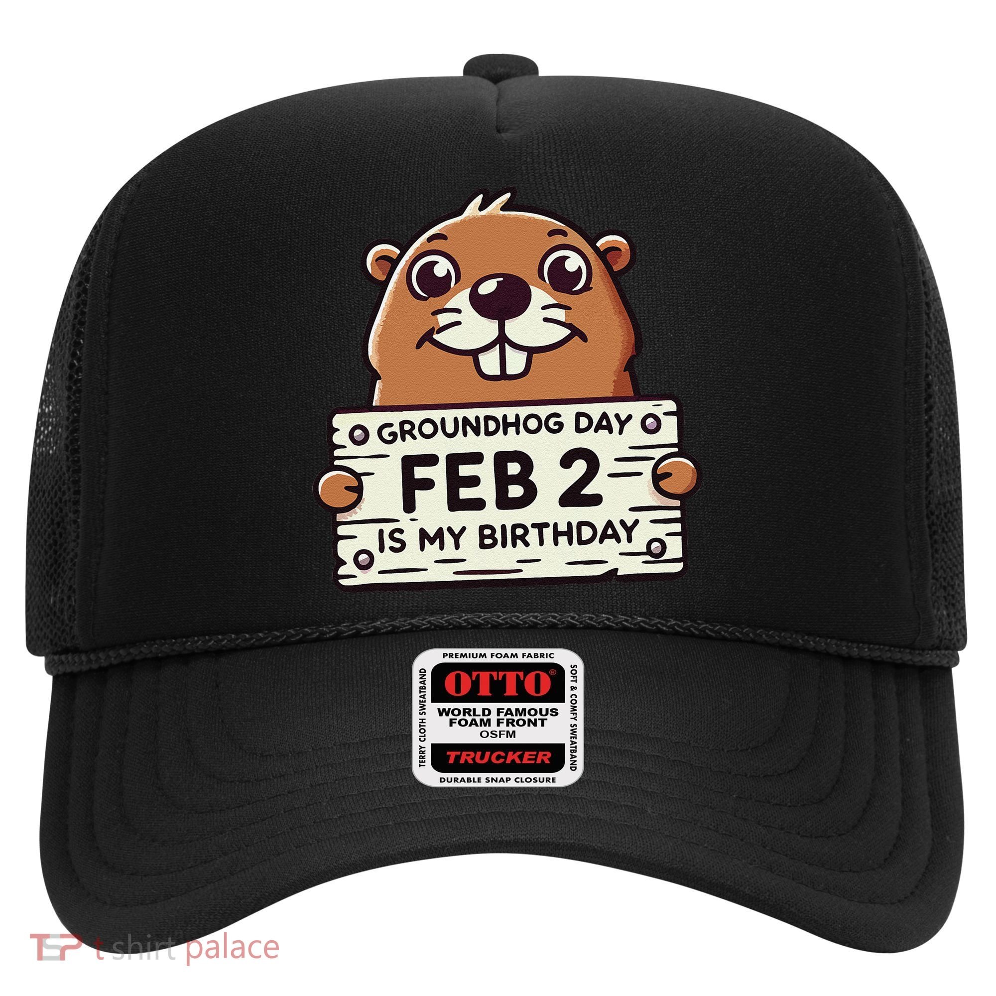 Punxsy PhilS Cute Groundhog Day February 2nd Birthday Hat