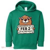 Punxsy PhilS Cute Groundhog Day February 2nd Birthday Toddler Hoodie thumb 0