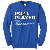 Pool Player Definition Funny Billiards Gift Sweatshirt thumb 0