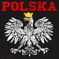 Polska Polish Eagle Poland Flag Polish Pride Polska Poland Gift Women's Hoodie thumb 2