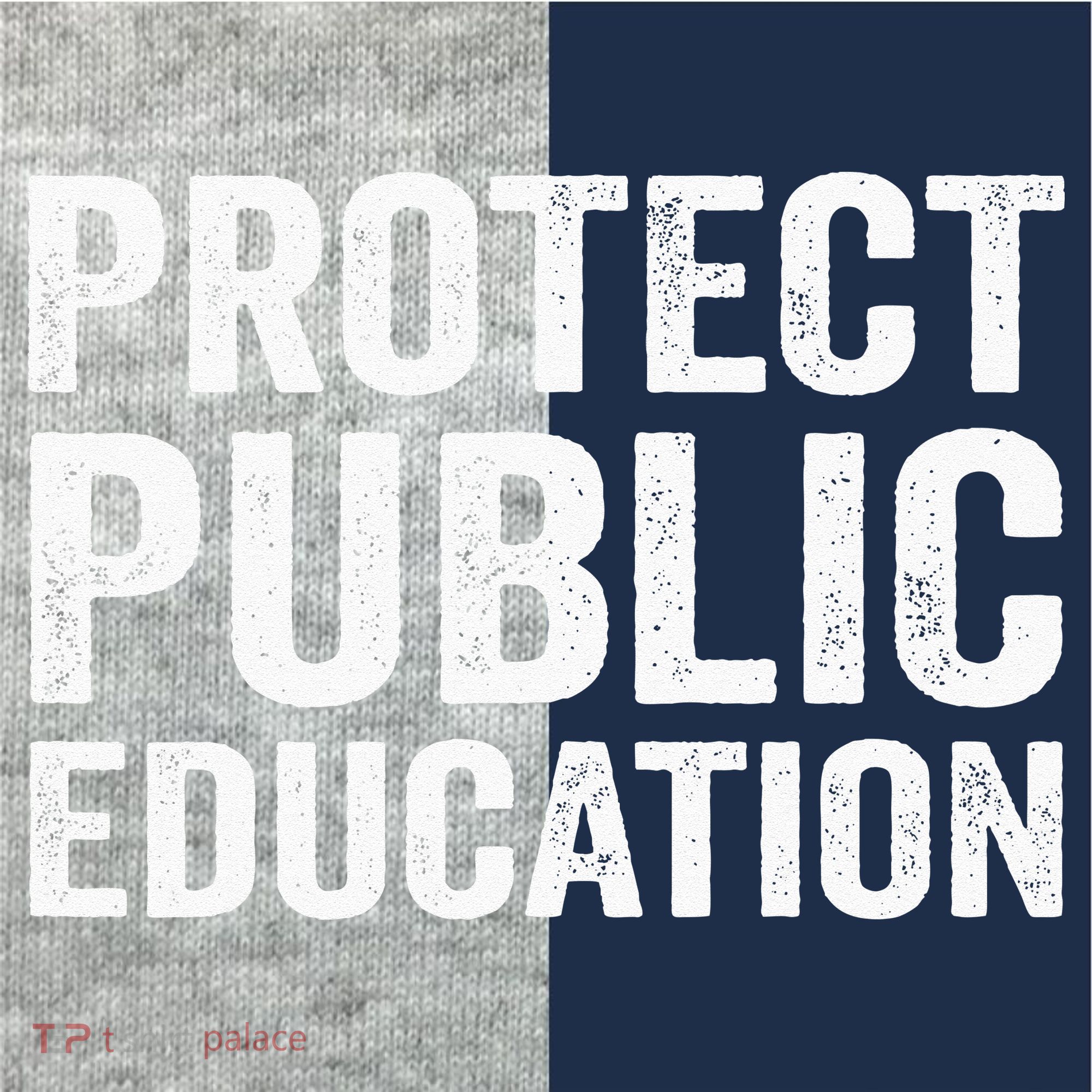 Protect Public Education Public Teacher School Kids Colorblock Raglan Jersey