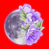 Purple Peonies Flowers Full Moon Santa Hat thumb 1