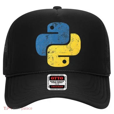Python Programming For Programmers Hat