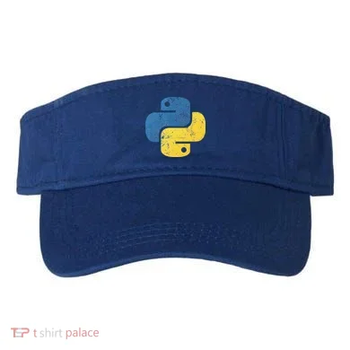 Python Programming For Programmers Visor