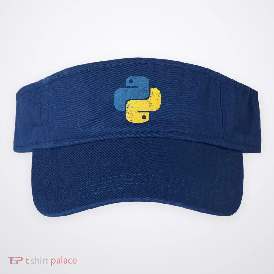 Python Programming For Programmers Visor