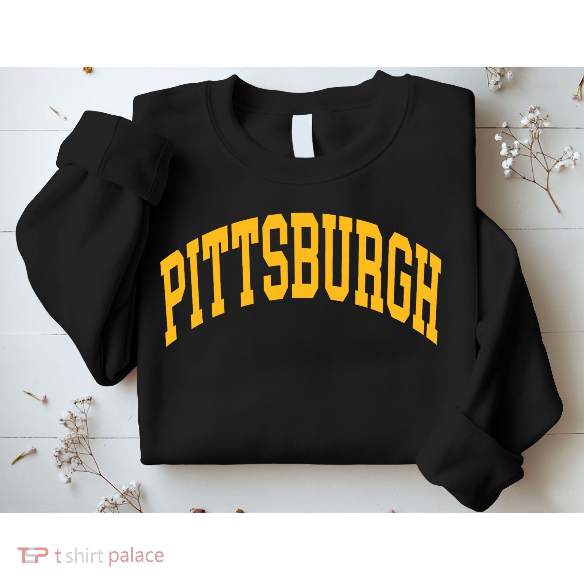 Pittsburgh Sweatshirt